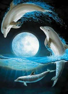 Wyland whales ocean sea life Wall border 5 yds new sealed