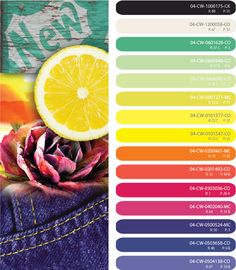 party brights, party bight colors, bright color scheme, happy party brights, party bight colors, bright color scheme, happy