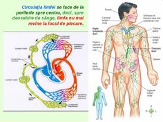 curatarea sistemului limfatic tratament naturist