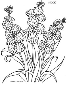 52 melhores imagens de flores para desenhar drawing techniques flores desenhar