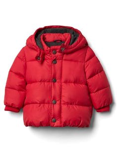 Moncler Nuevas adquisiciones Bebé Moncler Nuevas adquisiciones Bebé