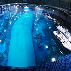 28 best aquarium specialist