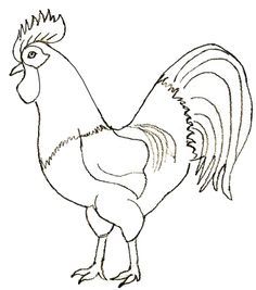 how to draw a rooster step by step