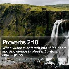 Image result for Embrace wisdom kjv