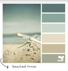whole house color palette examples plan perfect coastal and beach decor decor color palette beached tones 138 best blue palettes images on pinterest in 2018 whole house color palette examples plan perfect coastal and beach decor decor color palette beached tones 138 best blue palettes images on pinterest in 2018