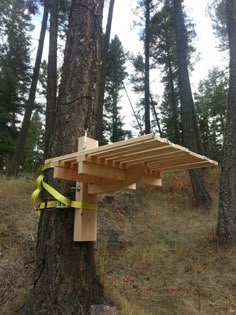 pictures of homemade tree stands pictures of homemade tree stands