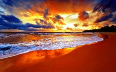 906J Photo Wall Mural-SUNSET BEACH- -NON WOVEN-Wallpaper-Palmtree Scenery Ocean