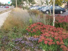 Garden Ideas For Minnesota beautiful minnesota garden - love the variety and the ornamental Garden Ideas For Minnesota beautiful minnesota garden - love the variety and the ornamental