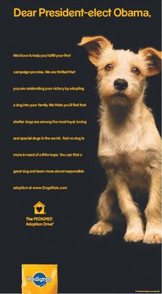 Yes You Can Get 2 Free Samples Of Pedigree Pouches Dog Food Lol