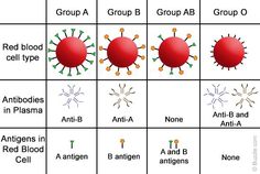 8 Best Blood Type Chart Images Eating For Food Blood Types And Antigen Antibos Type Chart T