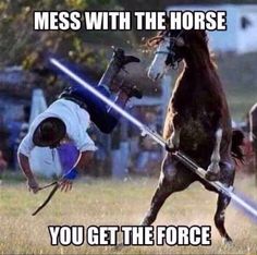 star wars rebels sabine meme star wars rebels pinterest star 9e3af2a37f06968856ded5bb7835d093 star wars the force star wars rebels sabine meme star wars rebels pinterest star,Sabine Meme