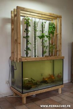 69 best aquariums and