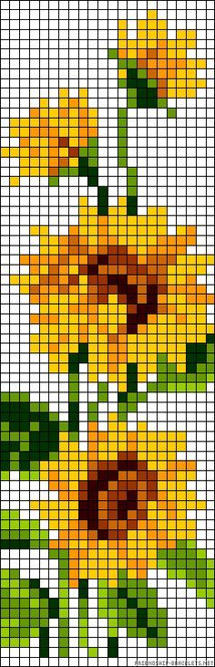 alpha pattern