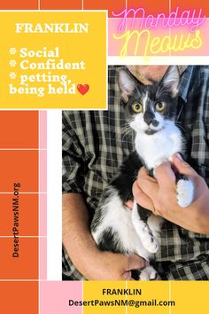 distracție dating cat de chat