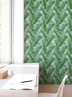 Zebra on its back black and white photo wallpaper mural bedroom design wm150