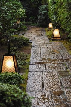 using pot lights at the base of a tree or shrub creates a great