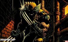 57 best wolverine images