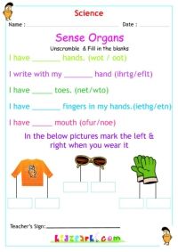 sense organs tongue grade 1 science worksheet science worksheets kindergarten reading worksheets 1st grade worksheets