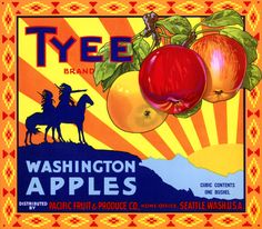 AURORA Dayton Washington Apple LABELS Wholesale Lot of 50 Old Vintage
