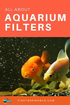 379 best aquarium tips