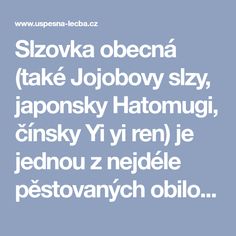 Černá sex čínština