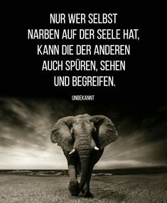 Besten dating-apps uns 2020