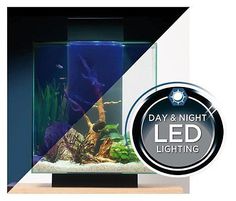 21 best fluval edge