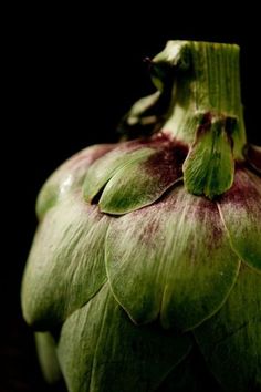 Artichokes