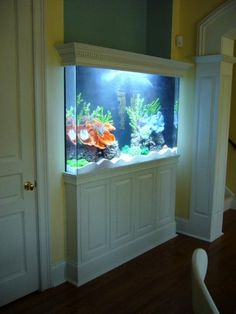 943 best aquariums underwater