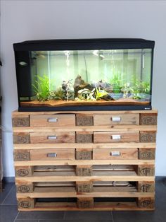 402 best aquariums images