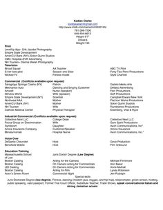 Elegenat Sales Manager Resume Template Format , Sales Operations