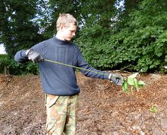 98 Best Plant Gathering And Recipes Images In 2019 Herbs How To Make Nettle Cordage Jonsbushcraft Primitive Technology Plant Fibres Bushcraft