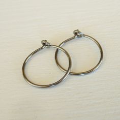 17 Best Nickel Free Earrings Simply Modern Everyday Wear Images On Small Niobium Hoop Earrings Nickel Free Silver Color Hoops Hypoallergenic For Sensitive Ears