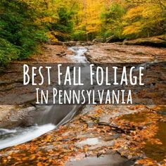 49 Best Fall In Pennsylvania Images Pennsylvania City Life Forests