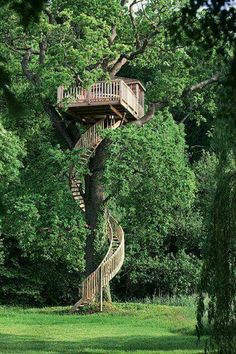 Biggest Treehouse In The World 2013 tree houses or houses in trees? | tree houses, treehouse and Biggest Treehouse In The World 2013 tree houses or houses in trees? | tree houses, treehouse and