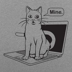 45 best cat fans only images tom papa dollar shirt llap tops