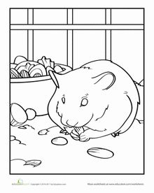 Top 25 Free printable Hamster Coloring Pages Online | School, Pet ... Top 25 Free printable Hamster Coloring Pages Online | School, Pet ...