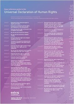 Universal declaration of human rights essay