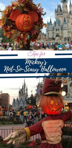 79 Best Disney World Images In 2018 Cruise Travel Tips For Mickey S Not So Y