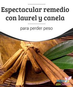 Beneficios de la hoja de laurel para adelgazar