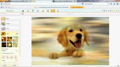 7 best ipiccy com