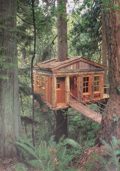 Trillium Suite At Treehouse Point Hotel In Snoqualmie Near Seattle Treehouses