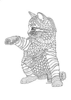 Kittens And Butterflies Coloring Book By Katerina Svozilova Amazon Printable PagesAdult Kittens And Butterflies Coloring Book By Katerina Svozilova Amazon Printable PagesAdult
