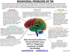 Behavioral Problems