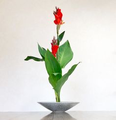 Yy Yy577 个人资料 Pinterest Yy Yy577 个人资料 Pinterest