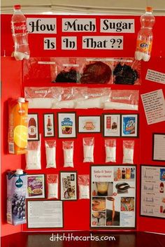 How To Do A Sugar Science Fair Project Much Is In That How To Do A Sugar Science Fair Project Much Is In That