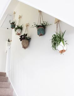 17 Best Indoor Living Wall Images Inside Garden House How To Create A Wall Of Plants
