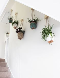 Inspired ideas for family interiors | We recently decorated our hallway, stairway and landing. finally ridding the house of its last areas of beige and magnolia, and painting everything a fres -- undefined #ModernHomeDecor Hanging Basket, Interior, Home, Design, Pantone, Hue, Planters, Hanging Planters, Hanging