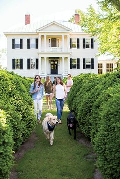218 Best Southern Homes Images On Pinterest In 2018 Florida Huis Chic Southern Abode Bance Family Members Strolling With Their Dogs In Front Of Greek Revival Plantation Home Virginia Photo By Patricia Lyons