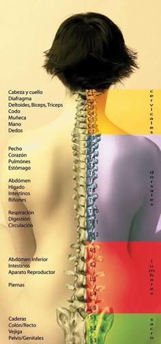 dactiloscopia forense diapositivas diabetes dactiloscopia forense diapositivas diabetes